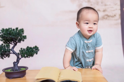靖边可爱的企鹅宝宝